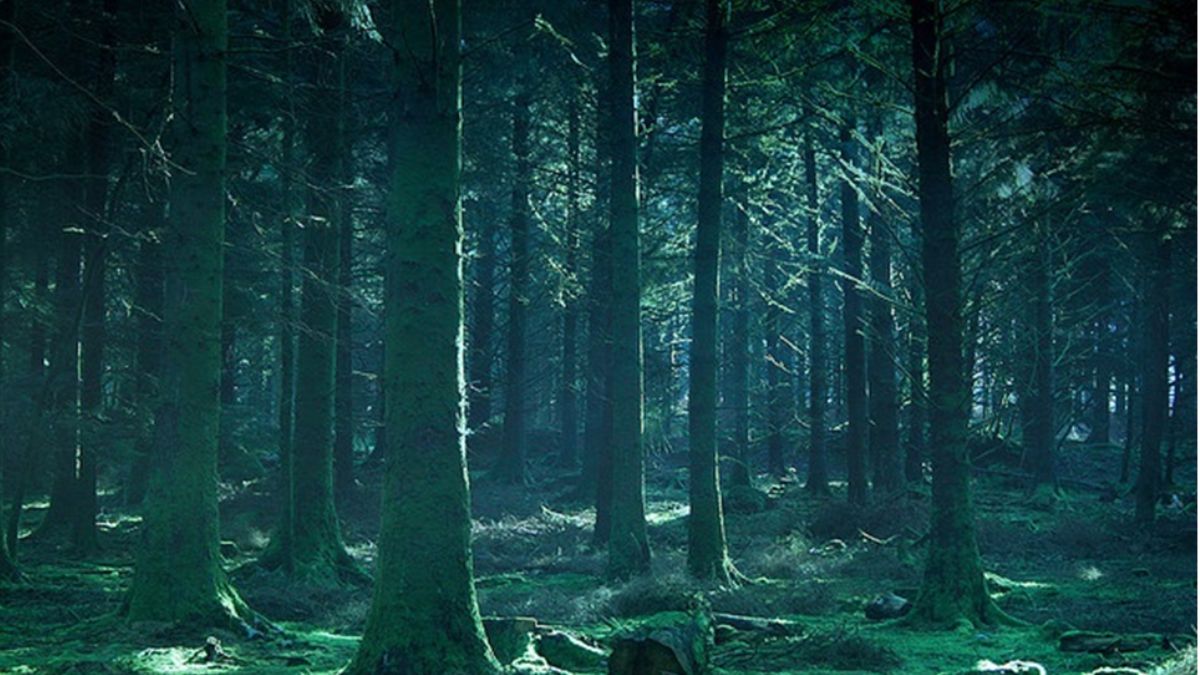 The Best AI Video Generators 2026 – 10 Tried and Tested